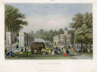 जूलॉजिकल गार्डन, रीजेंट्स पार्क द्वारा अंग्रेजी स्कूल