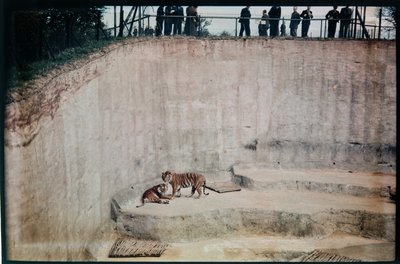  द्वारा एरिक मेबैंक