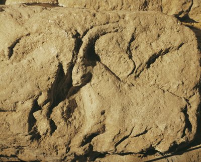  द्वारा एरिच लेसिंग