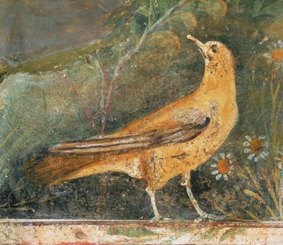  द्वारा एरिच लेसिंग