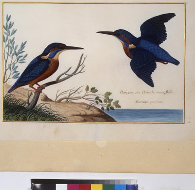  द्वारा एरिच लेसिंग