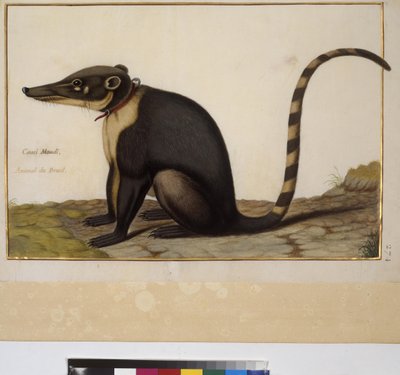  द्वारा एरिच लेसिंग