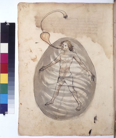  द्वारा एरिच लेसिंग