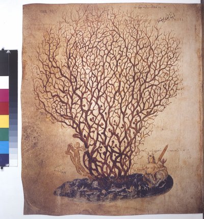  द्वारा एरिच लेसिंग