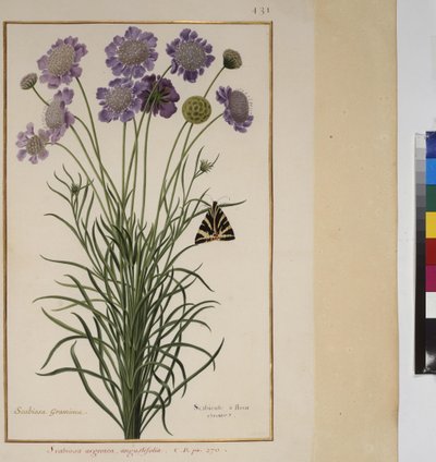  द्वारा एरिच लेसिंग