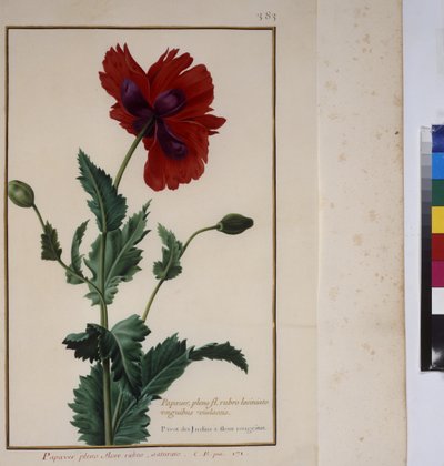  द्वारा एरिच लेसिंग