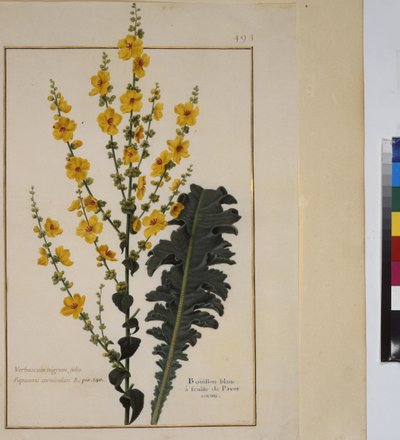  द्वारा एरिच लेसिंग