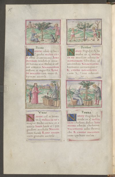  द्वारा एरिच लेसिंग