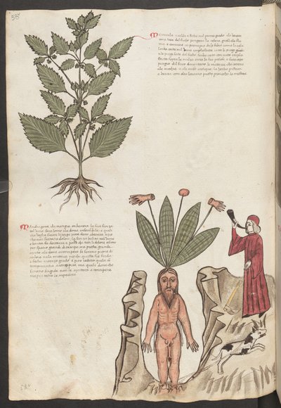  द्वारा एरिच लेसिंग