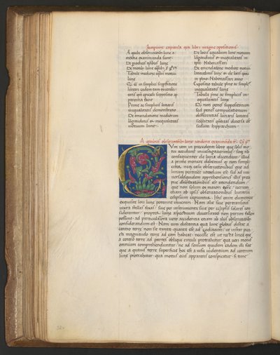  द्वारा एरिच लेसिंग