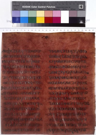  द्वारा एरिच लेसिंग