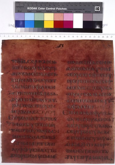  द्वारा एरिच लेसिंग