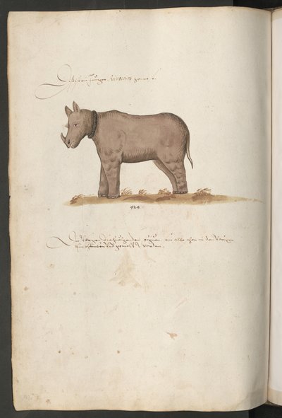  द्वारा एरिच लेसिंग