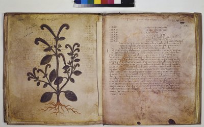  द्वारा एरिच लेसिंग