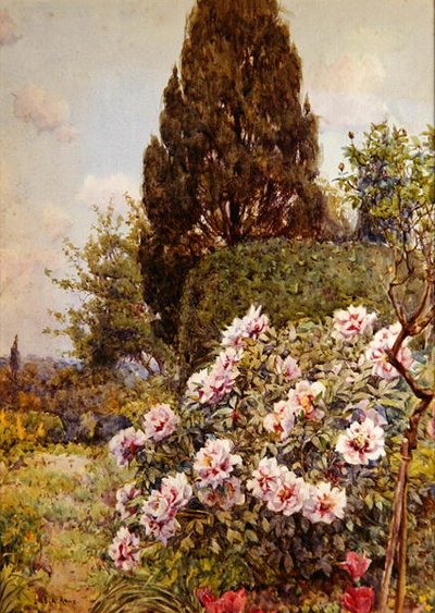 Peonies, Codington, Ledbury के पास (कागज पर पेंसिल और वॉटरकलर) द्वारा अर्नेस्ट आर्थर रोवे
