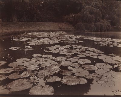  द्वारा यूजेन एटगेट