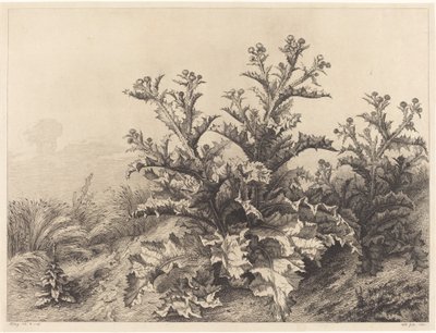 लार्ज थीस्ल, 1843। द्वारा यूजीन ब्लेरी