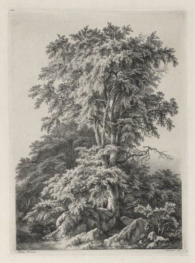 नेचर एंड द नेचर: द बीच, फॉनटेनब्लेउ ..., 1840। द्वारा यूजीन ब्लेरी