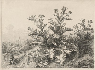 द ग्रेट थीस्ल ले ग्रैंड चारडन, 1843। द्वारा यूजीन ब्लेरी