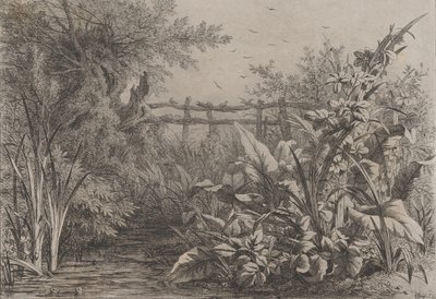 तालाब, 1857। द्वारा यूजीन ब्लेरी