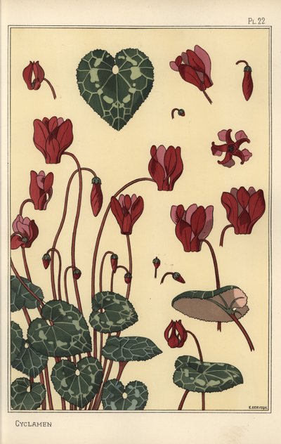 फूल, पत्तियों, पंखुड़ियों के विवरण के साथ साइक्लेमेन का पौधा द्वारा Eugene Grasset