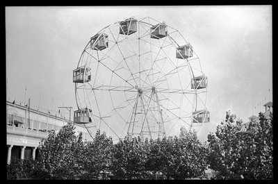 फेरिस व्हील, कोनी आइलैंड, 1910 (नाइट्रेट निगेटिव) द्वारा यूजीन वेमलिंगर