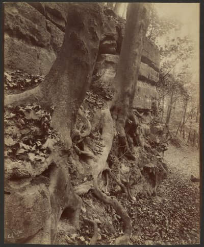  द्वारा यूजेन एटगेट