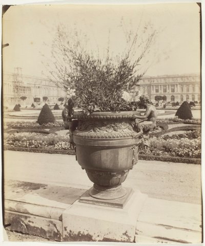 वर्साय, बलिन द्वारा फूलदान, 1902। द्वारा यूजेन एटगेट