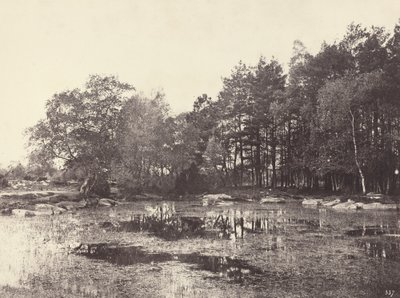 पियाट बेले-क्रिक्स पठार पर मार्श, सी। 1863. द्वारा यूजेन क्यूवेलियर