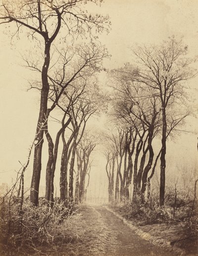 होरफ्रॉस्ट के साथ सड़क और पेड़, 1860। द्वारा यूजेन क्यूवेलियर