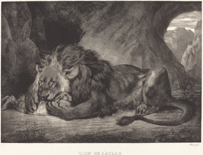एटलस पर्वत का शेर (लायन डे ल#39;एटलस) द्वारा यूजीन डेलाक्रोइक्स