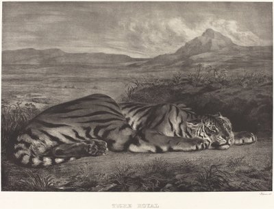 रॉयल टाइगर टाइग्रे रॉयल, 1829। द्वारा यूजीन डेलाक्रोइक्स