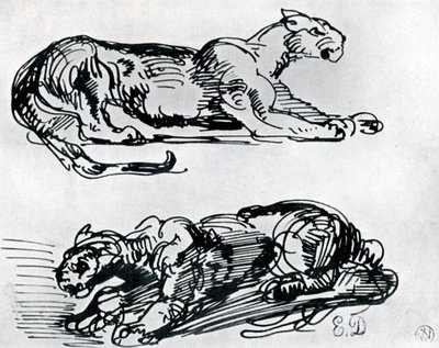 पैंथर्स का अध्ययन, 1913 द्वारा फर्डिनेंड विक्टर यूजीन डेलाक्रोइक्स