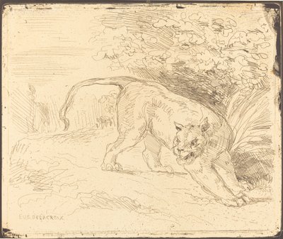 टाइगर इन स्टॉप, 1854। द्वारा यूजीन डेलाक्रोइक्स
