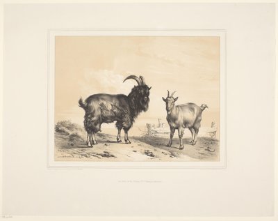  द्वारा यूजेन वर्बोकेहोवेन