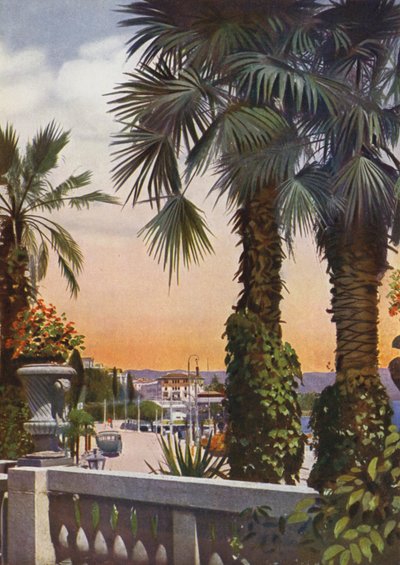 Opatija, अब क्रोएशिया में Opatija: Hotel Bellevue से ताड़ के पेड़ों का दृश्य (फोटो) द्वारा यूरोपीय फोटोग्राफर
