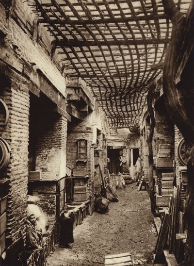  द्वारा यूरोपीय फोटोग्राफर