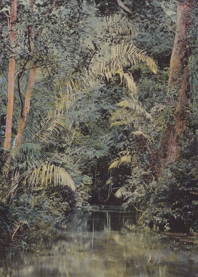 ला रिविएर आईवीआई द्वारा यूरोपीय फोटोग्राफर