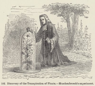 पौधों के वाष्पोत्सर्जन की खोज, मस्केनब्रोइक का प्रयोग (उत्कीर्णन) द्वारा यूरोपीय स्कूल