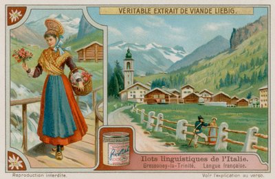 फ्रेंच भाषी Gressoney-La-Trinite द्वारा यूरोपीय स्कूल