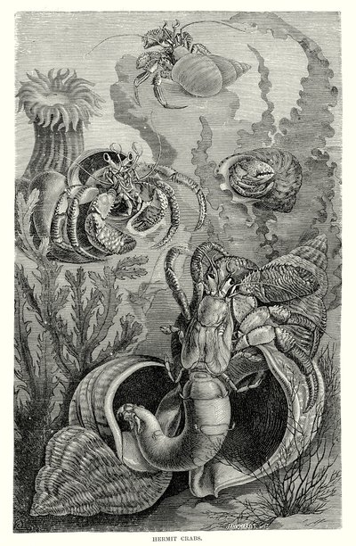  द्वारा यूरोपीय स्कूल