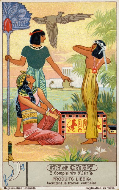 द्वारा यूरोपीय स्कूल