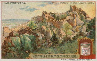 Sintra में महल के महल द्वारा यूरोपीय स्कूल