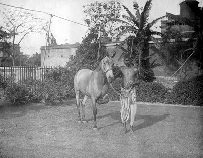 मैन विथ ए हॉर्स, अलीपुर, भारत, 1905-1906 द्वारा FL पीटर्स