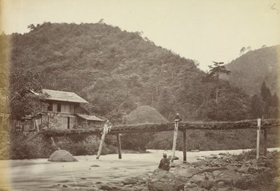  द्वारा फेलिस बीटो