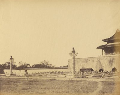  द्वारा फेलिस बीटो