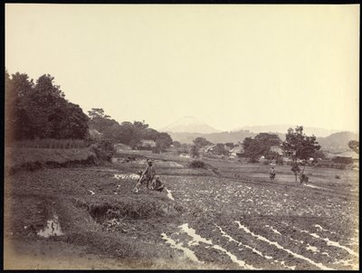  द्वारा फेलिस बीटो