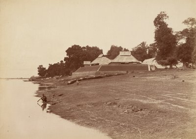  द्वारा फेलिस बीटो