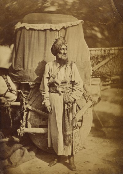  द्वारा फेलिस बीटो