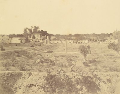  द्वारा फेलिस बीटो